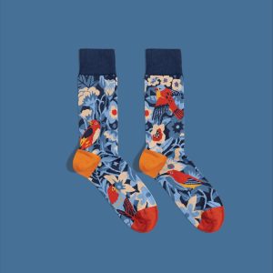Birds Socks – Magic Forest Cotton Socks | Forest Bird Gift for Nature Lovers & Birdwatchers